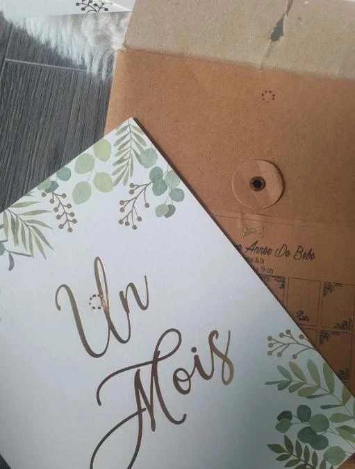 Cartões de estágios – photo 2